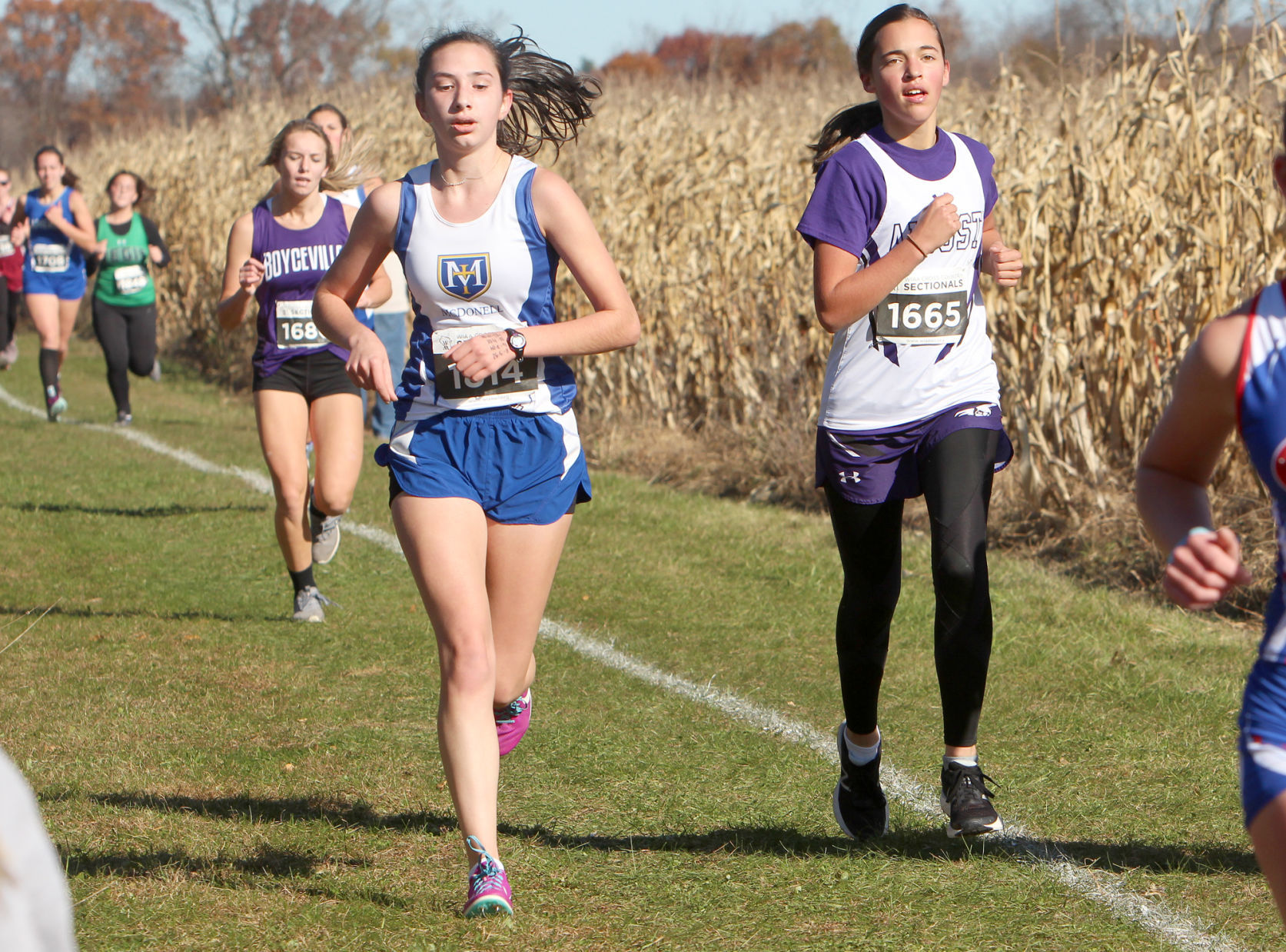 Division 3 Cross Country Sectionals in Boyceville 10-26-19